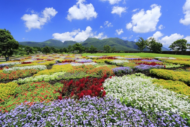 久住花公園