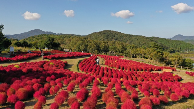 RURU PARK（大分農業文化公園）