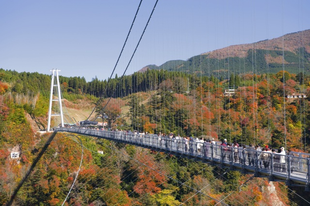 九重「夢」大吊橋